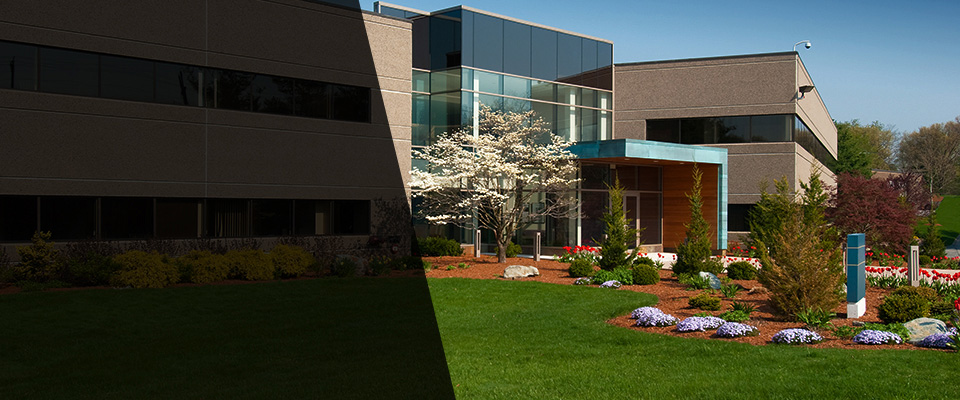 Upper Darby Landscapers