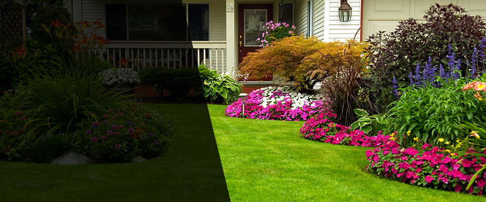 Upper Darby Landscapers