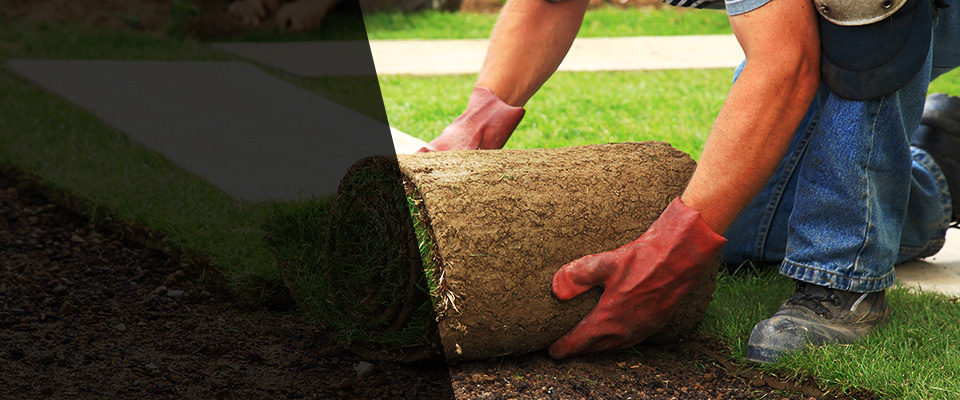 Upper Darby Landscapers
